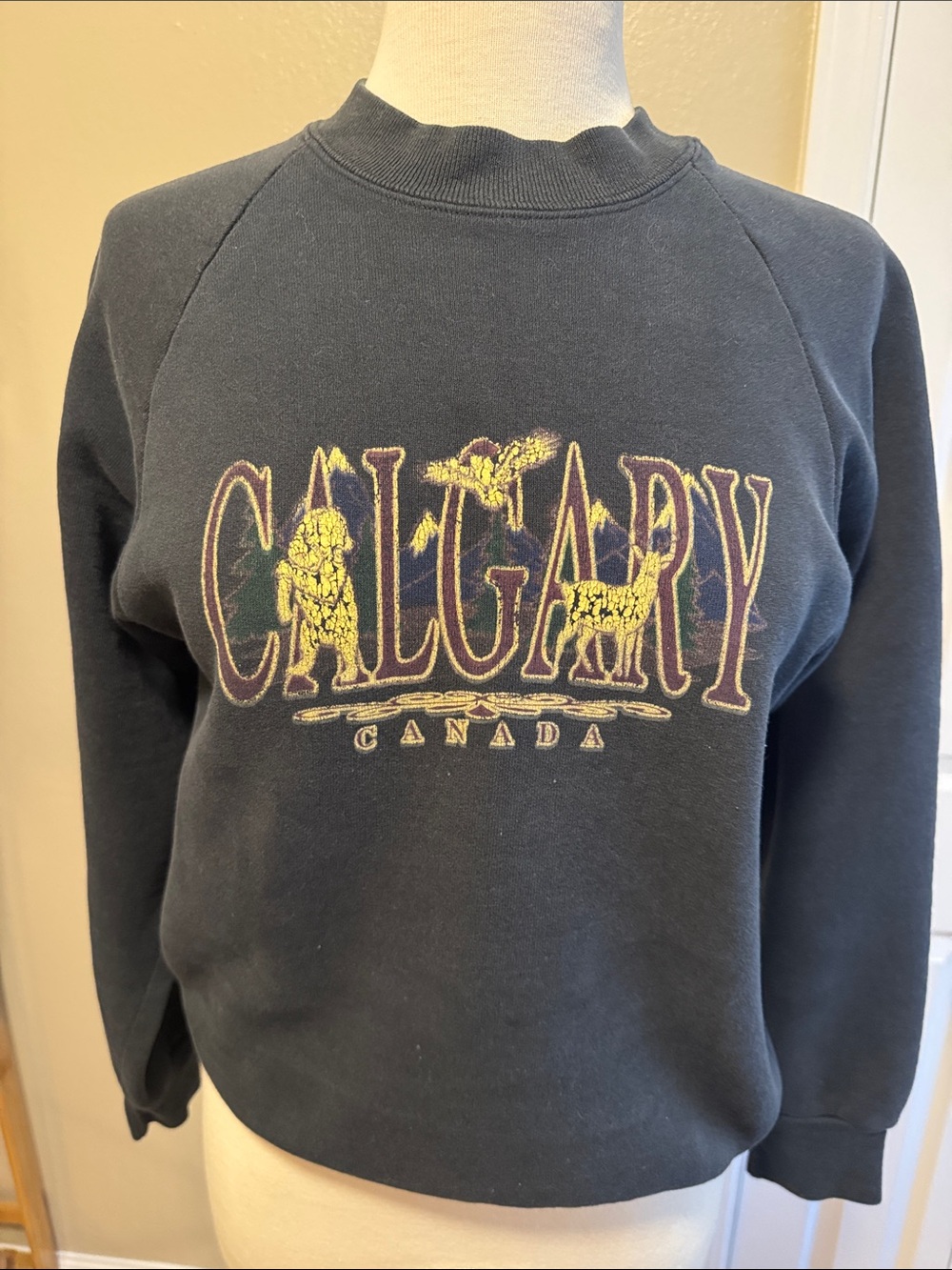 Vintage Calgary Canada Black Graphic Sweatshirt